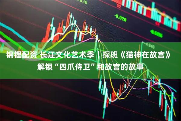 锦锂配资 长江文化艺术季｜探班《猫神在故宫》 解锁“四爪侍卫”和故宫的故事